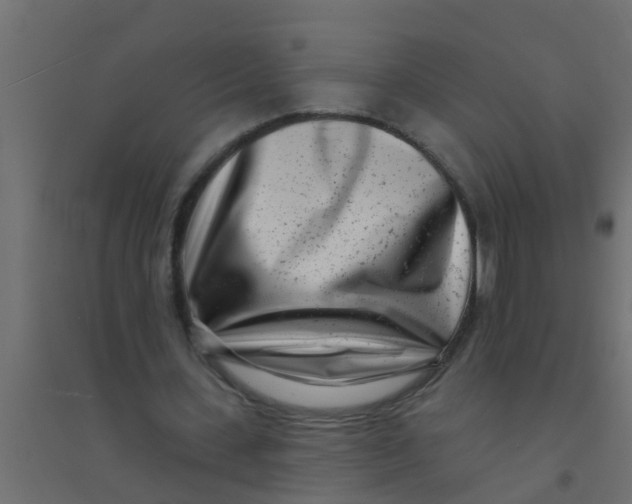 X0000094330531200711241831