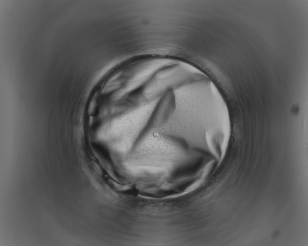 X0000094330532200711241831