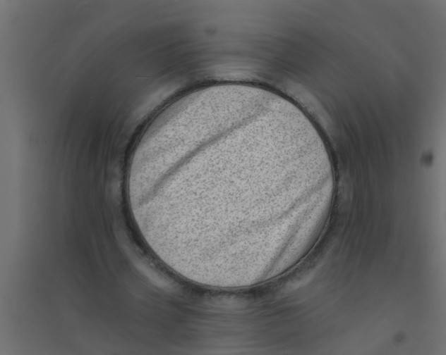 X0000094330533200711241831