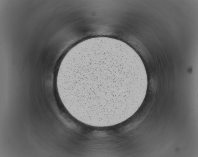 X0000094330534200711241831