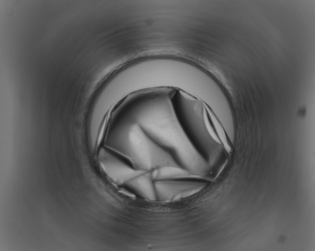 X0000094330535200711241831