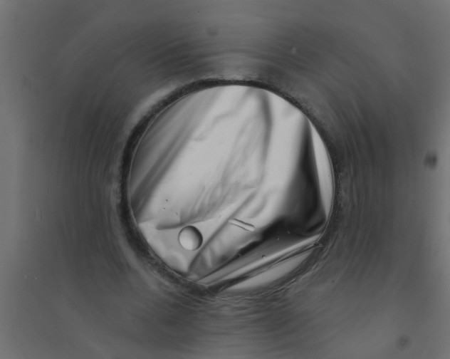 X0000094330536200711241831