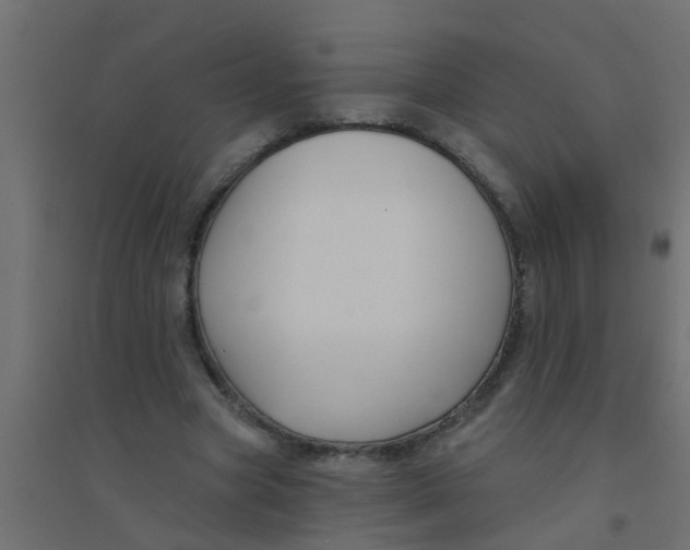 X0000094330537200711241831