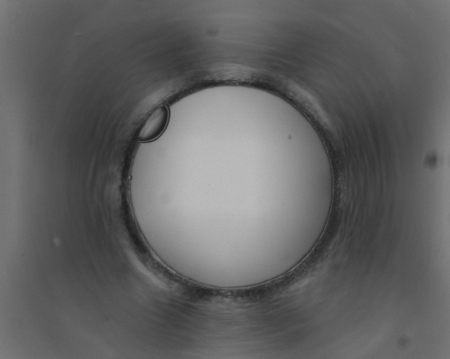 X0000094330538200711241831