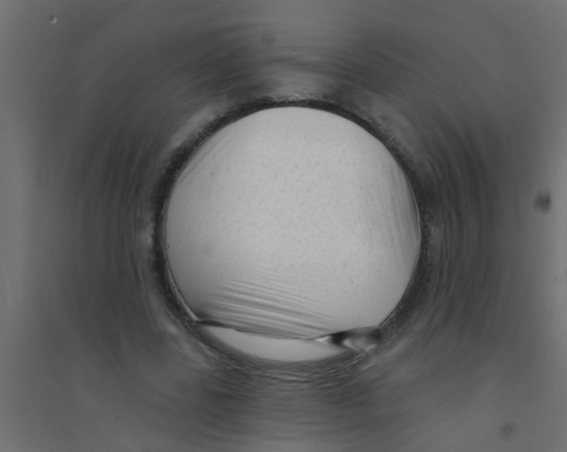 X0000094330539200711241831