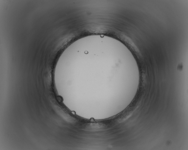 X0000094330541200711241831