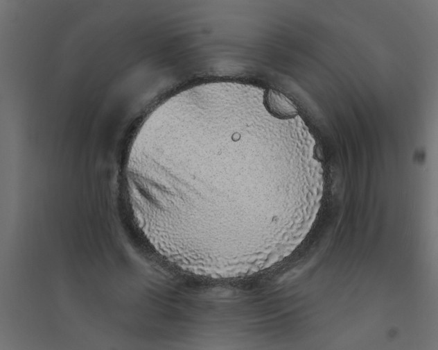 X0000094330542200711241831