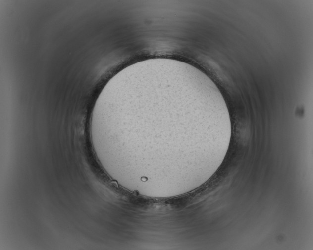 X0000094330543200711241831