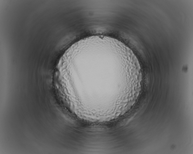 X0000094330545200711241831