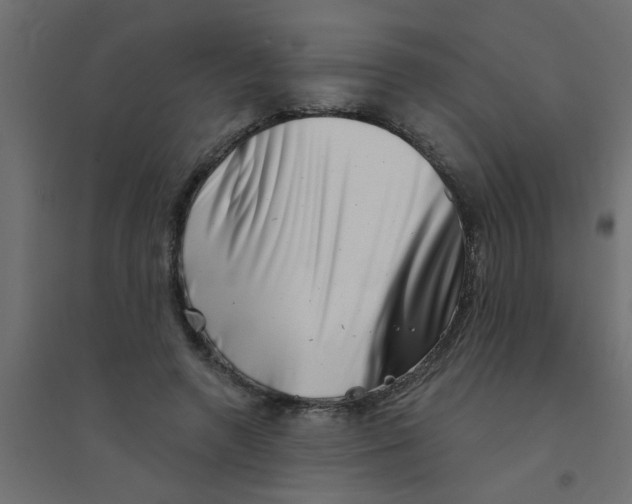 X0000094330546200711241831