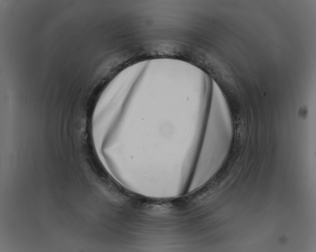 X0000094330548200711241831