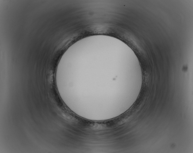 X0000094330549200711241831