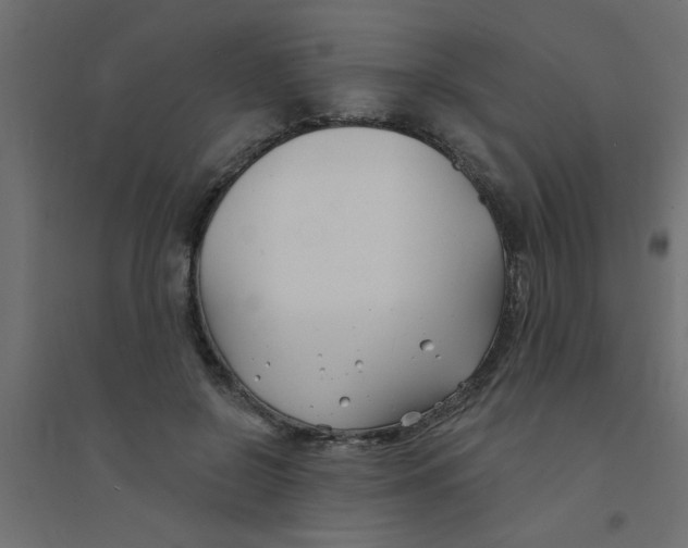 X0000094330550200711241831