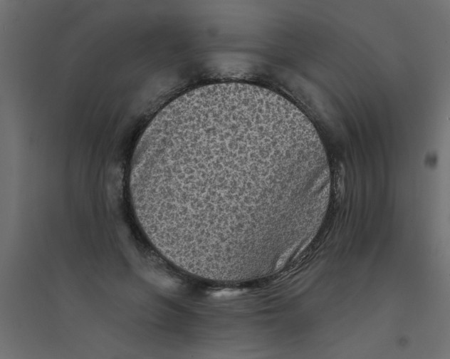 X0000094330551200711241832