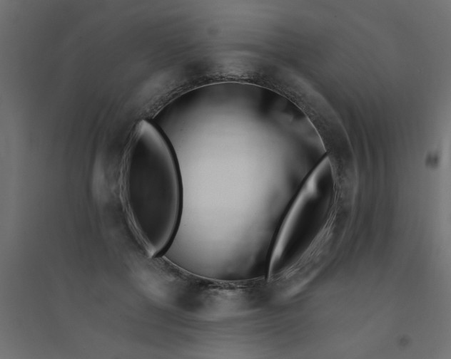 X0000094330552200711241832