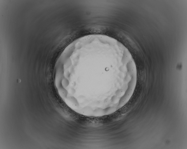 X0000094330553200711241832