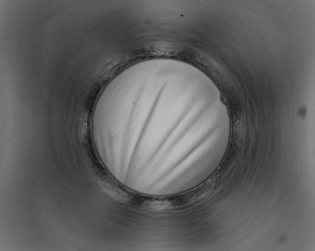 X0000094330554200711241832