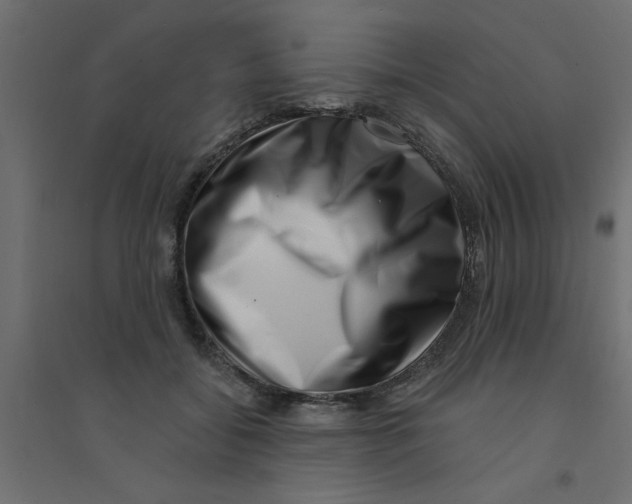 X0000094330556200711241832