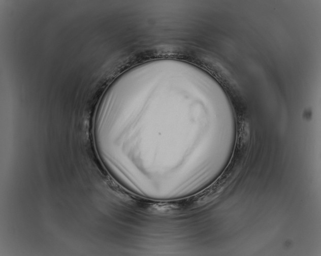 X0000094330557200711241832