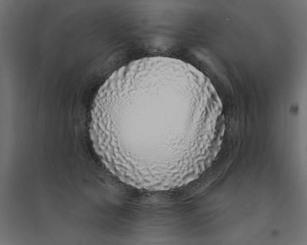 X0000094330561200711241832