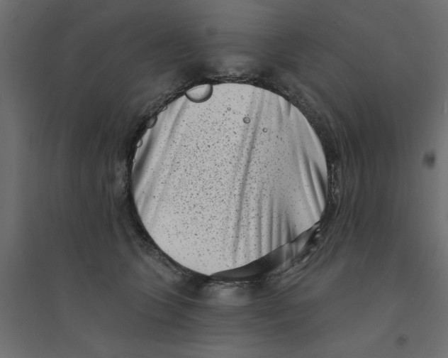 X0000094330563200711241832