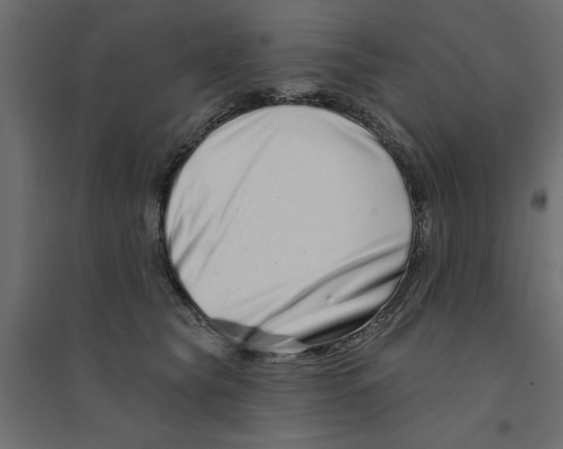 X0000094330565200711241832