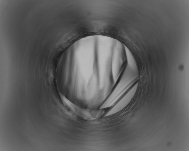 X0000094330566200711241832