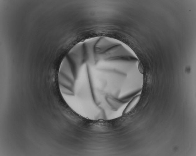 X0000094330567200711241832