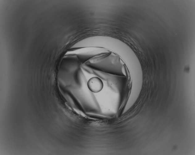 X0000094330568200711241832