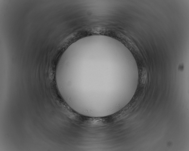 X0000094330569200711241832