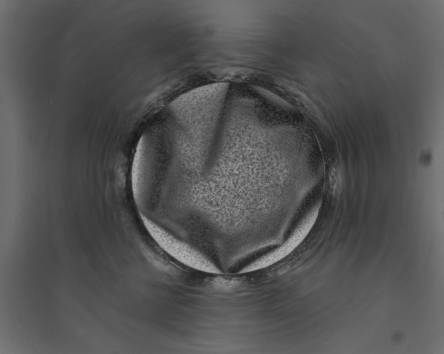 X0000094330570200711241832