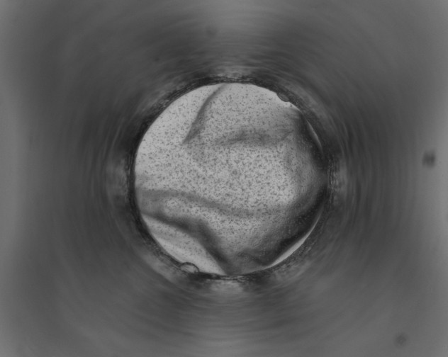 X0000094330572200711241832