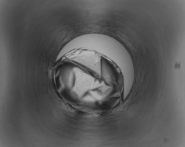 X0000094330576200711241832