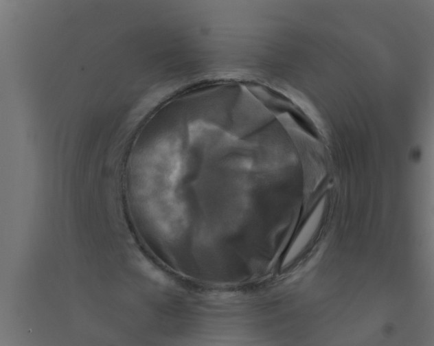 X0000094330577200711241831