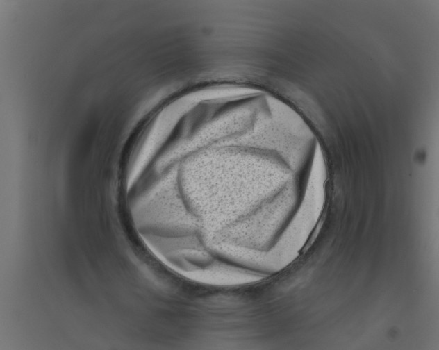 X0000094330578200711241831