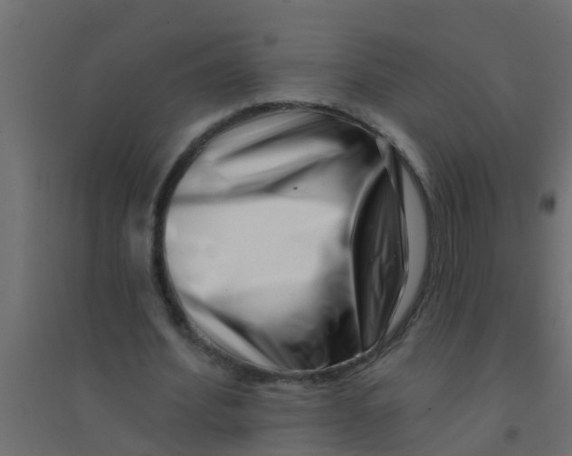 X0000094330580200711241831