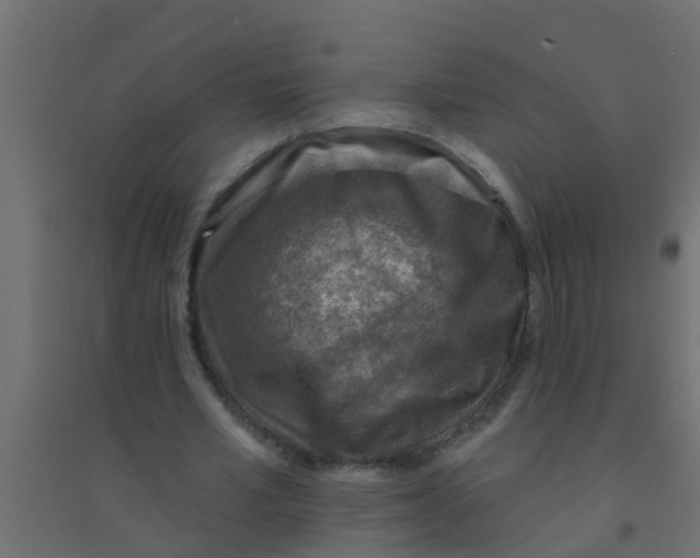 X0000094330581200711241831