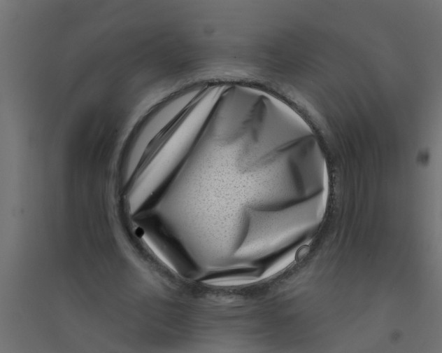 X0000094330582200711241831