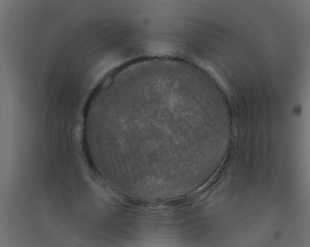 X0000094330583200711241831