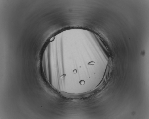 X0000094330584200711241831