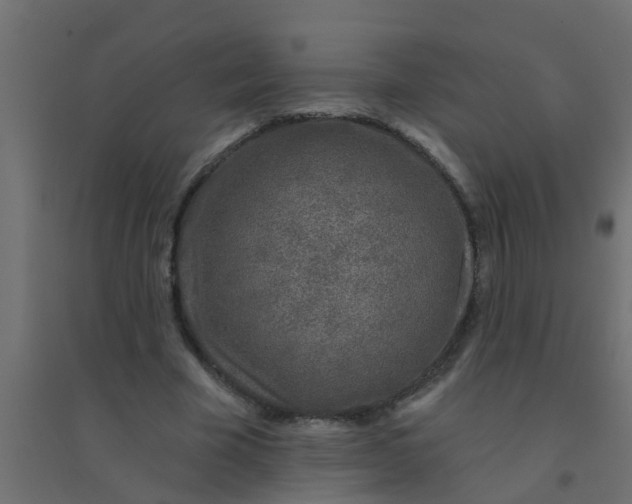 X0000094330585200711241831