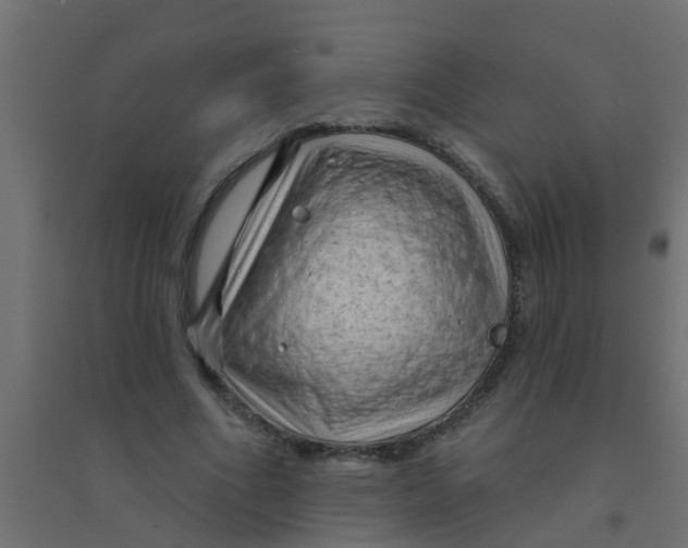 X0000094330586200711241831