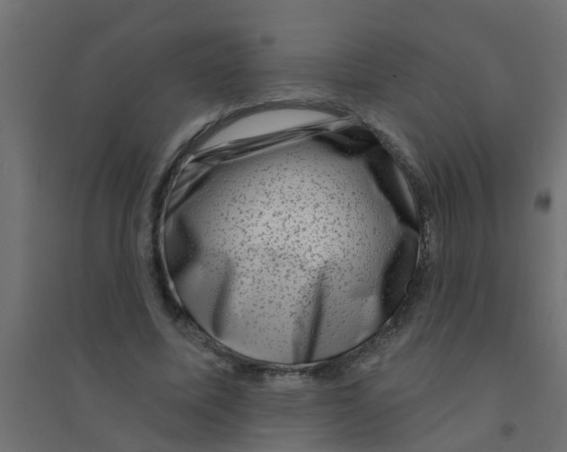 X0000094330587200711241831