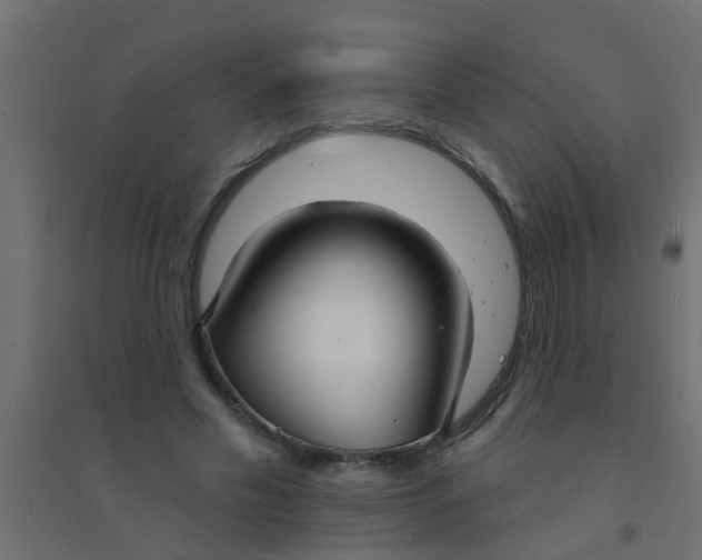 X0000094330589200711241831