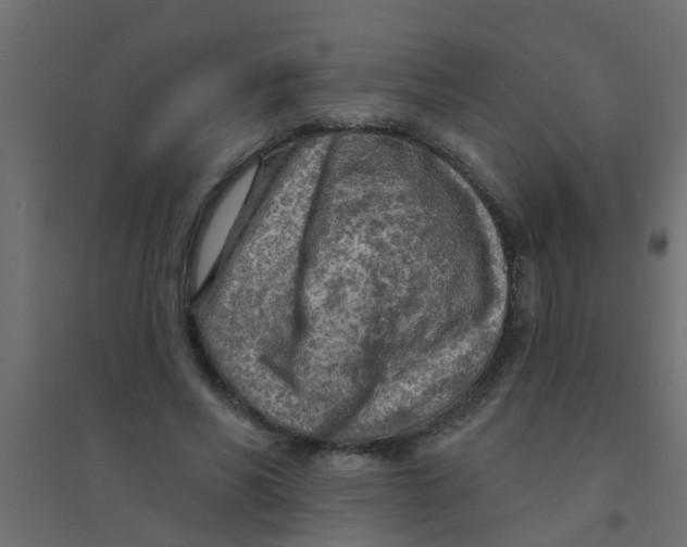 X0000094330590200711241831