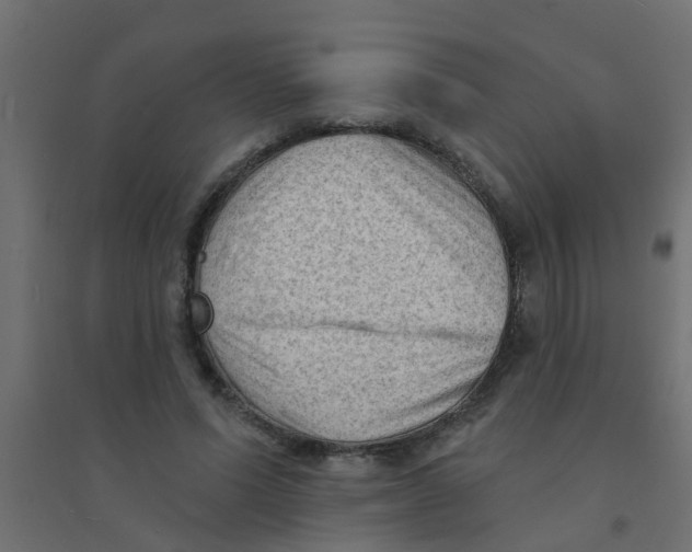 X0000094330591200711241831