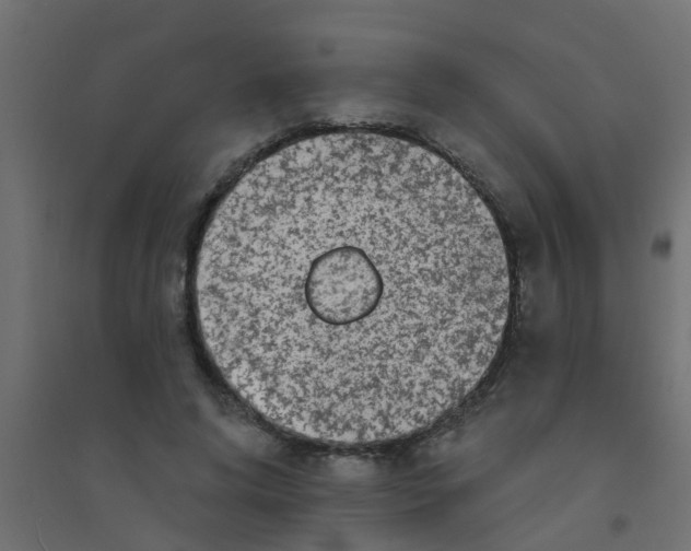 X0000094330592200711241831