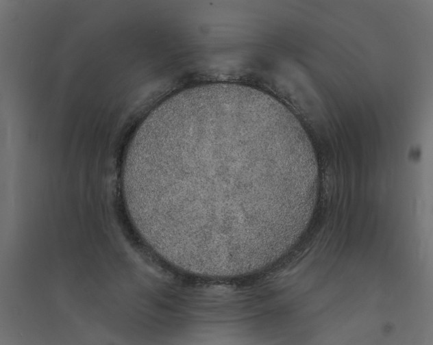 X0000094330594200711241831