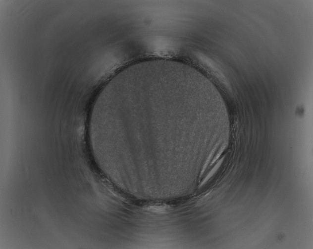 X0000094330595200711241831