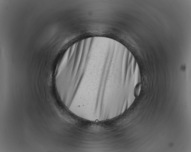 X0000094330596200711241831